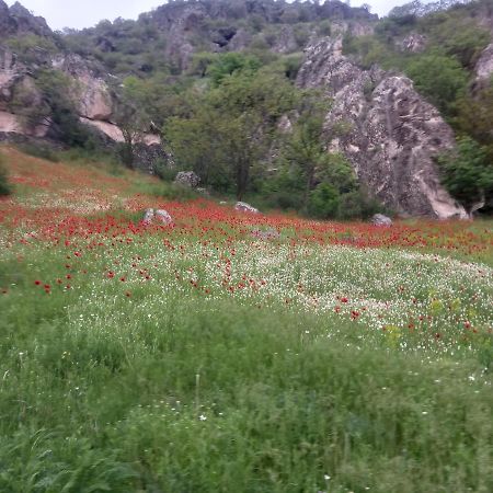 Сhachkari Bed and Breakfast Vardzia  Εξωτερικό φωτογραφία