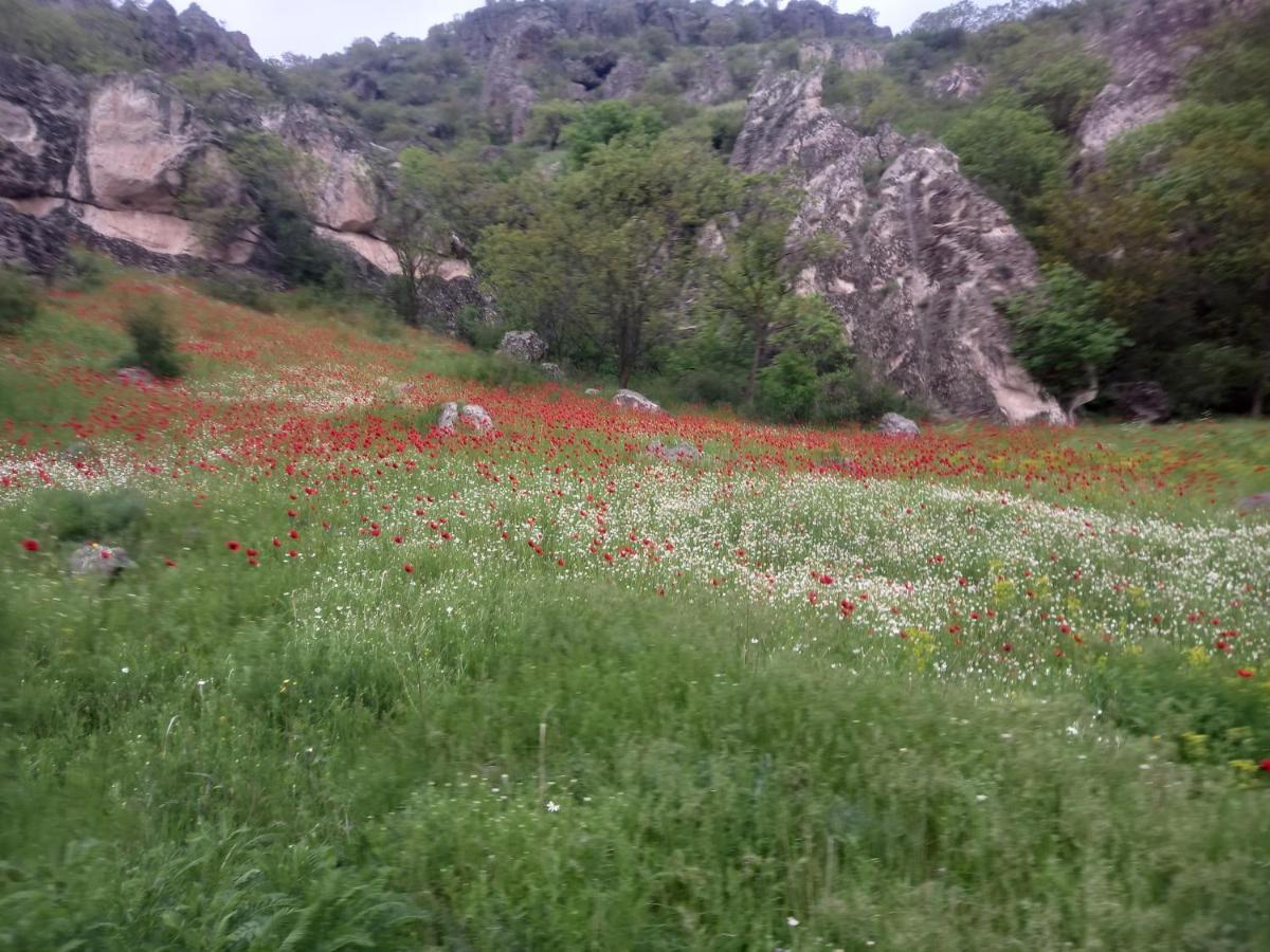 Сhachkari Bed and Breakfast Vardzia  Εξωτερικό φωτογραφία