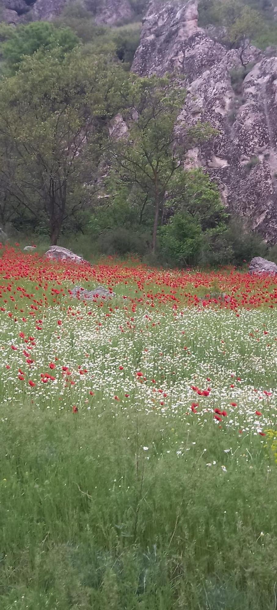 Сhachkari Bed and Breakfast Vardzia  Εξωτερικό φωτογραφία